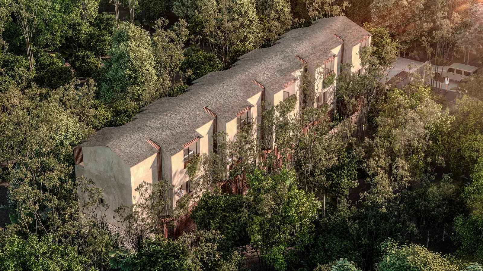 AFRA JUNGLE - Image 1