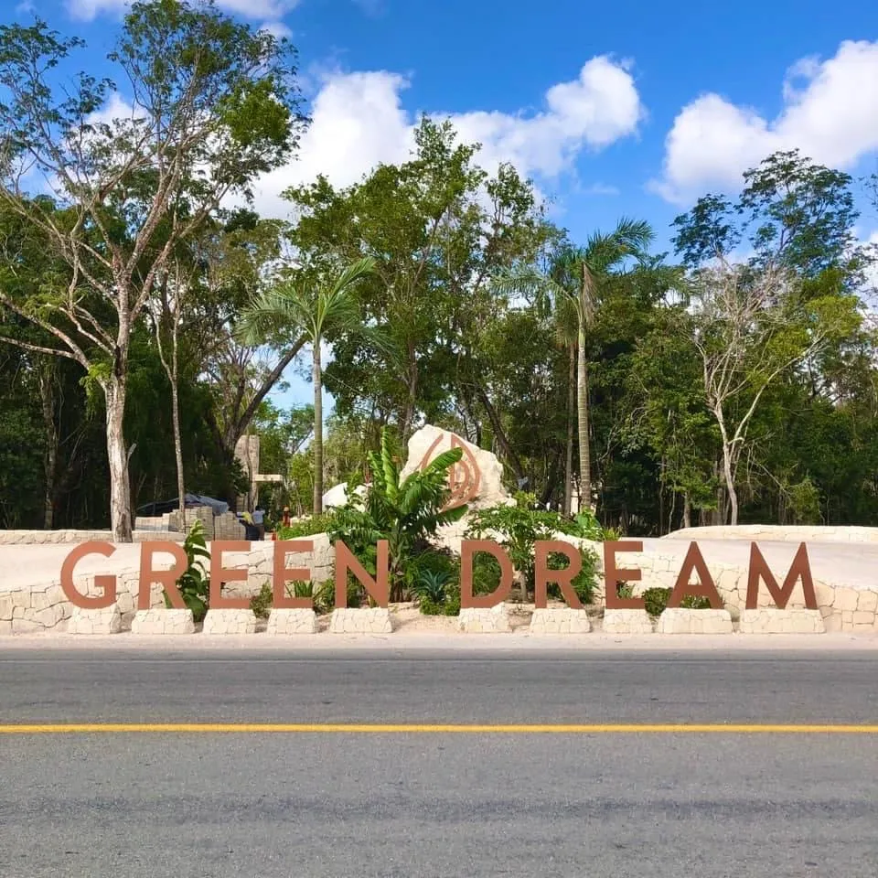 GREEN DREAM - Image 1