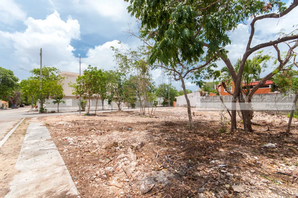 EL TIGRILLO - SOUTHWEST LOT - Image 1